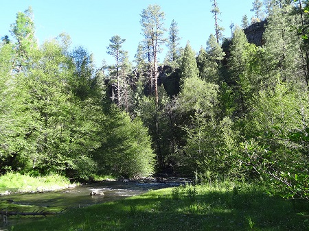 North Fork of the White River image