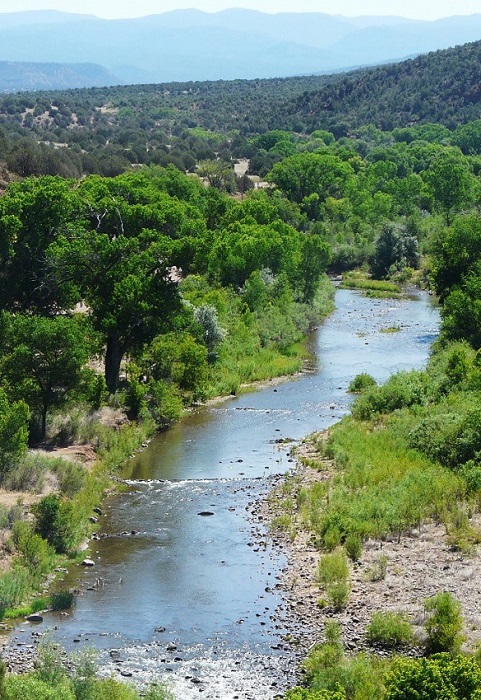 Riparian Forest image